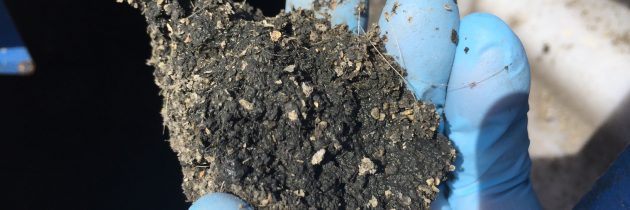 用離心機(jī)用于奶牛和豬（豬）糞便分離的好處